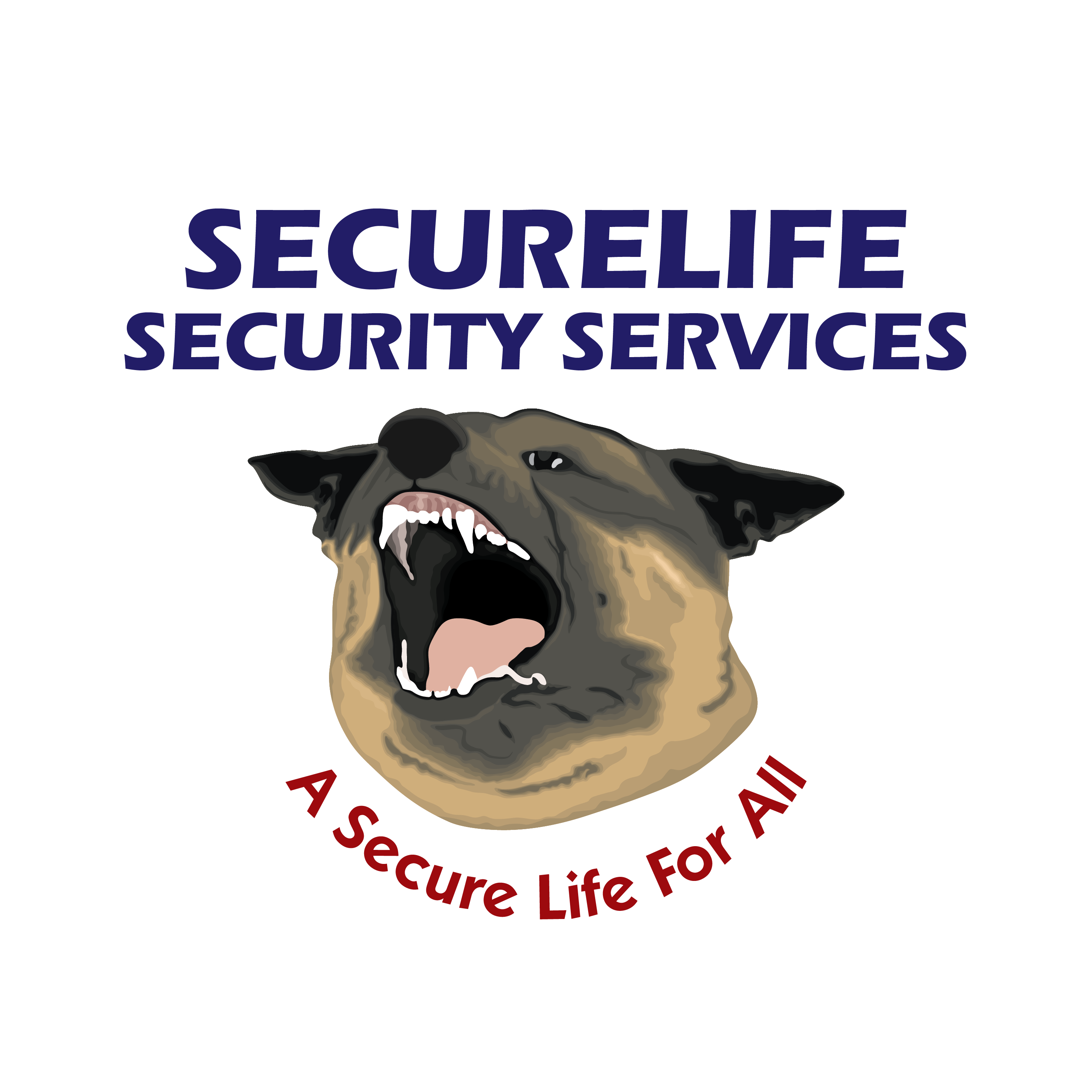 2025 Speech by the Director